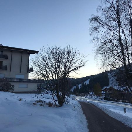 Appartement 6 Pers - Les 4 Loups Au Pied Des Pistes Gérardmer Екстериор снимка