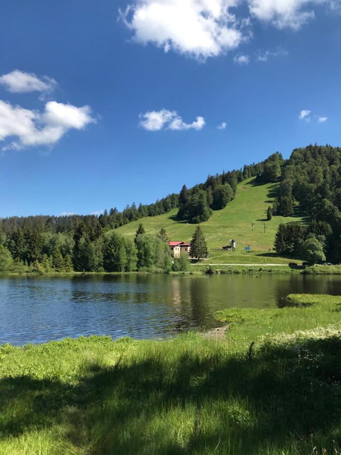 Appartement 6 Pers - Les 4 Loups Au Pied Des Pistes Gérardmer Екстериор снимка