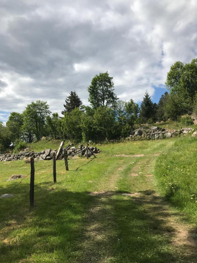 Appartement 6 Pers - Les 4 Loups Au Pied Des Pistes Gérardmer Екстериор снимка