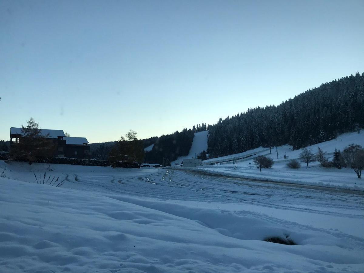 Appartement 6 Pers - Les 4 Loups Au Pied Des Pistes Gérardmer Екстериор снимка