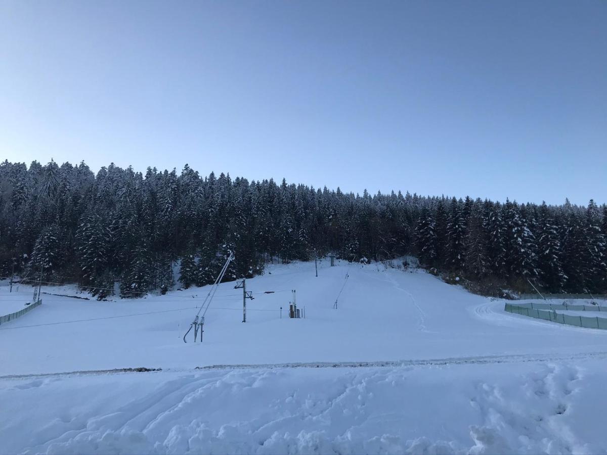 Appartement 6 Pers - Les 4 Loups Au Pied Des Pistes Gérardmer Екстериор снимка