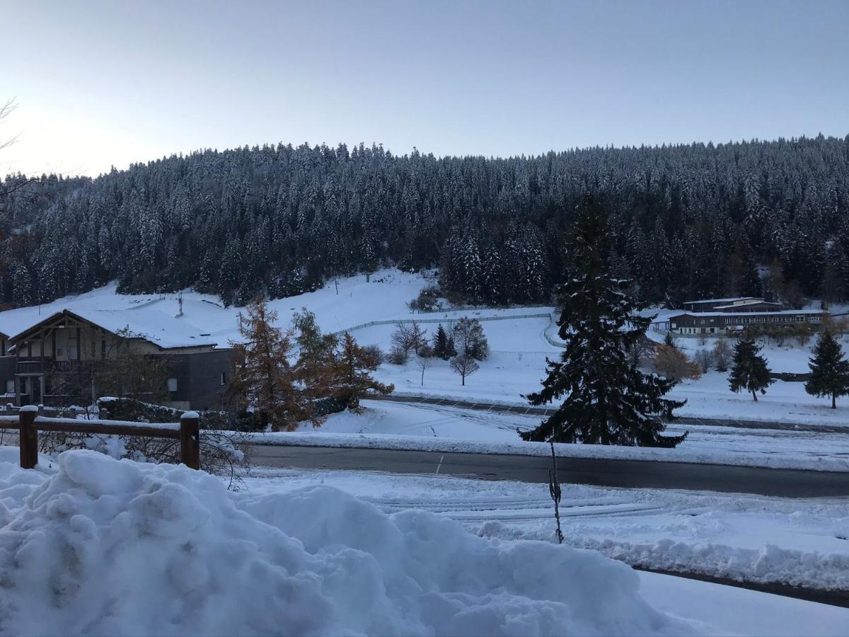 Appartement 6 Pers - Les 4 Loups Au Pied Des Pistes Gérardmer Екстериор снимка