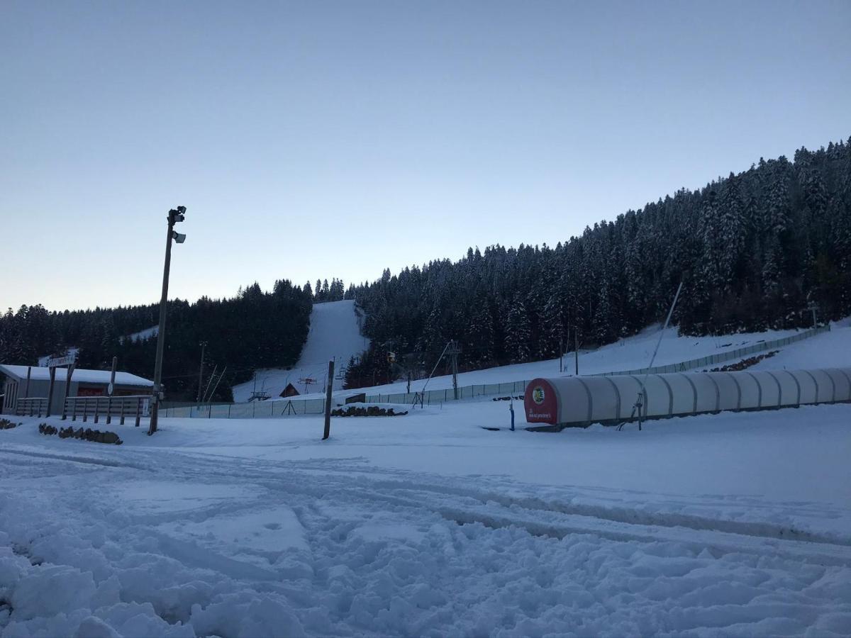 Appartement 6 Pers - Les 4 Loups Au Pied Des Pistes Gérardmer Екстериор снимка