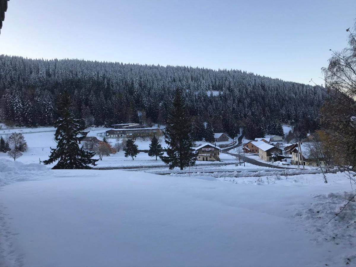 Appartement 6 Pers - Les 4 Loups Au Pied Des Pistes Gérardmer Екстериор снимка