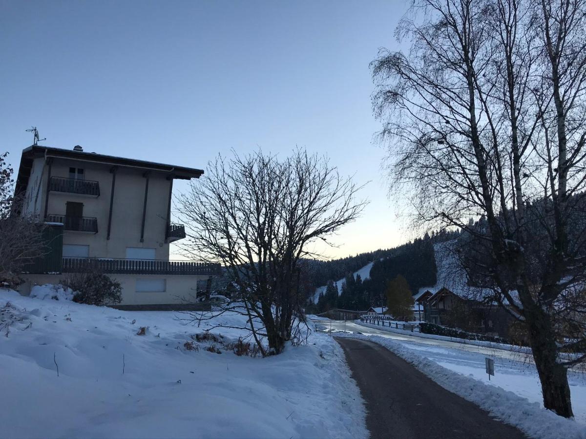 Appartement 6 Pers - Les 4 Loups Au Pied Des Pistes Gérardmer Екстериор снимка