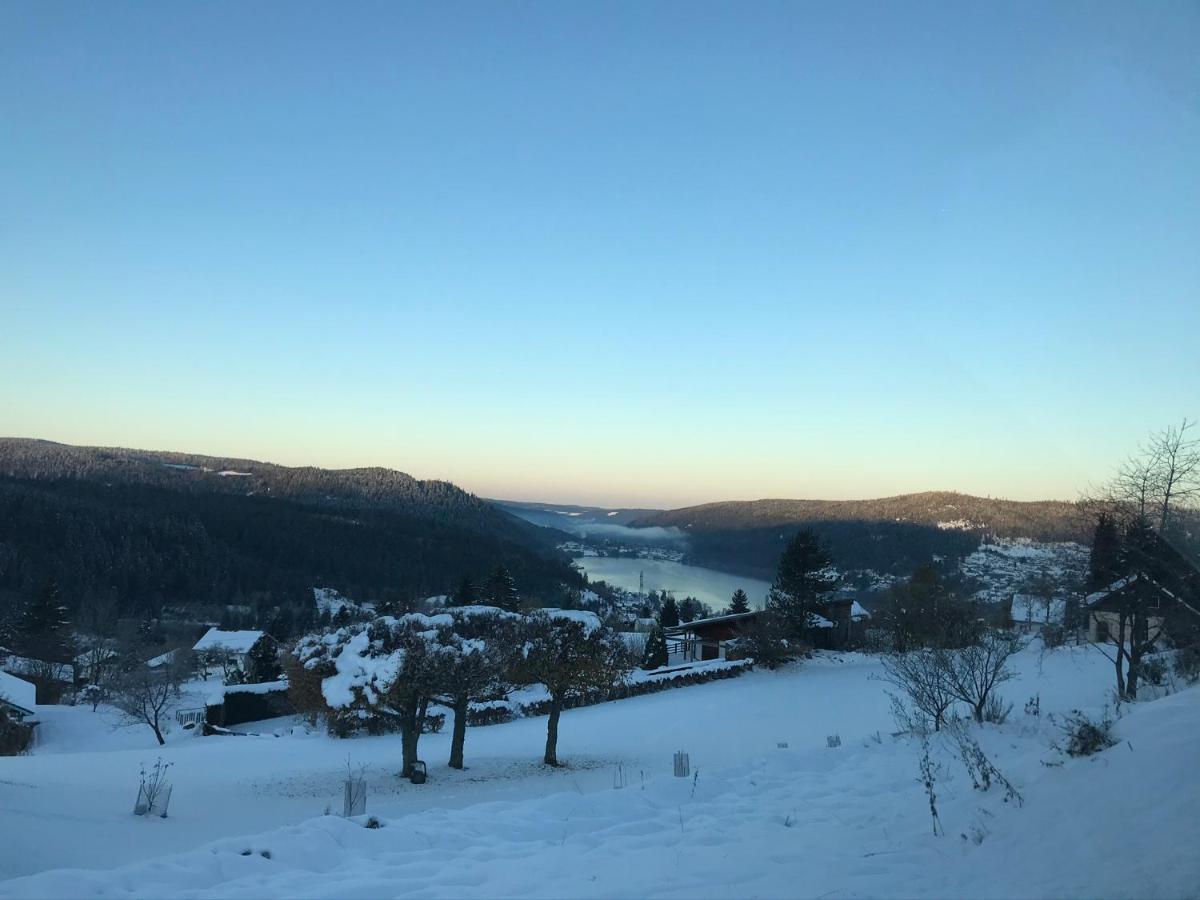 Appartement 6 Pers - Les 4 Loups Au Pied Des Pistes Gérardmer Екстериор снимка