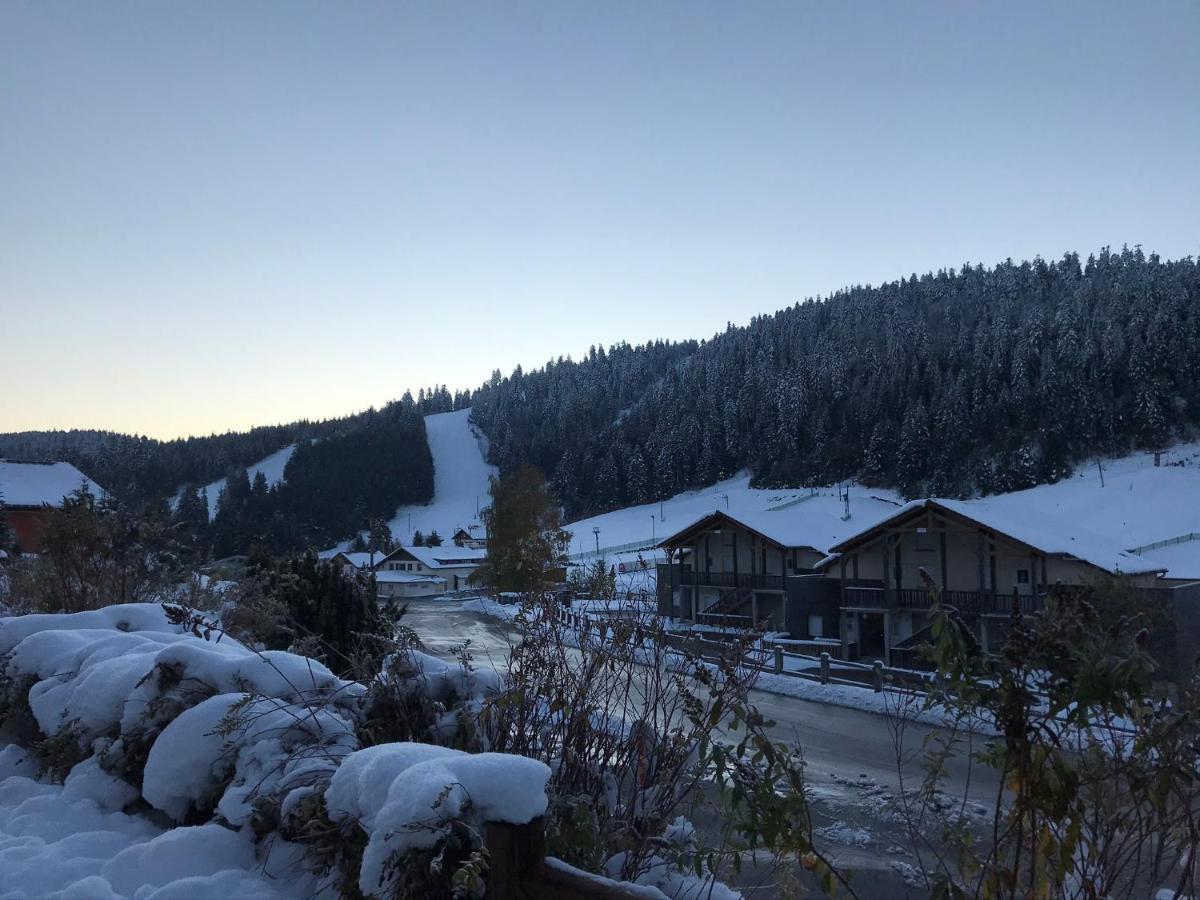Appartement 6 Pers - Les 4 Loups Au Pied Des Pistes Gérardmer Екстериор снимка